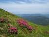 My Carpathians © Igor Melika