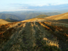 My Carpathians © Igor Melika
