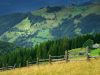 My Carpathians © Igor Melika