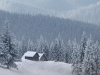 My Carpathians © Igor Melika
