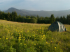 My Carpathians © Igor Melika