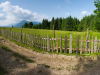 My Carpathians © Igor Melika