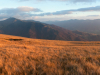 My Carpathians © Igor Melika