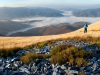My Carpathians © Igor Melika