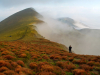 My Carpathians © Igor Melika