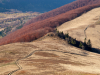 My Carpathians © Igor Melika