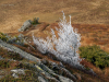 My Carpathians © Igor Melika