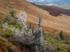 My Carpathians © Igor Melika