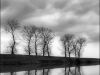 © Igor Melika
