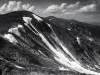 Black&White