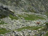 High Tatras (Vysoke Tatry, Slovakia)