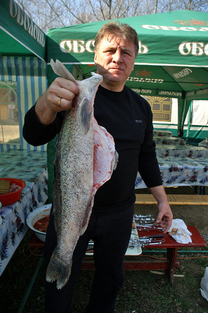 Фестиваль риболовів та угорської ухи