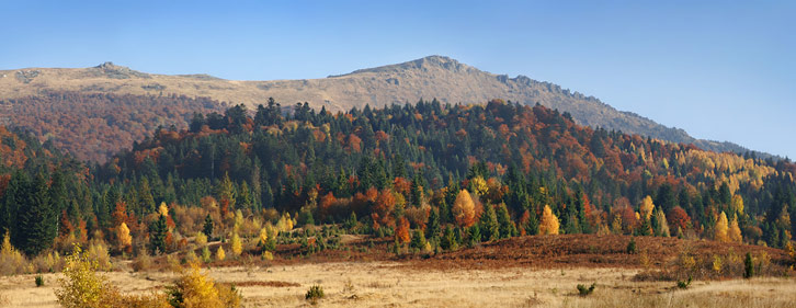 Вид на Вододільний хребет з вершиною Пікуй (1408 м) з околиць села Щербовець