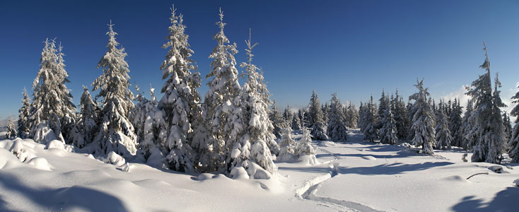 Карпатська зима